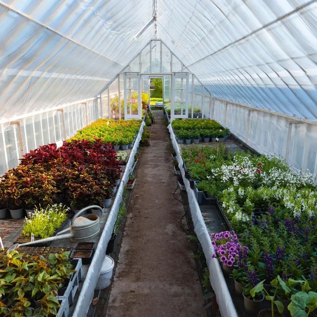 solhöjdens handelsträdgård